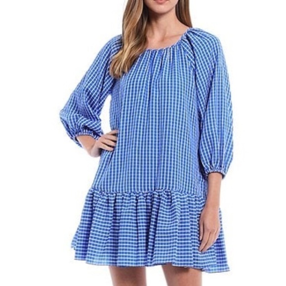 Ltd NWT Rachel Ruffle Seersucker Swing Dress Size 8 in Blue and White - Picture 14 of 14